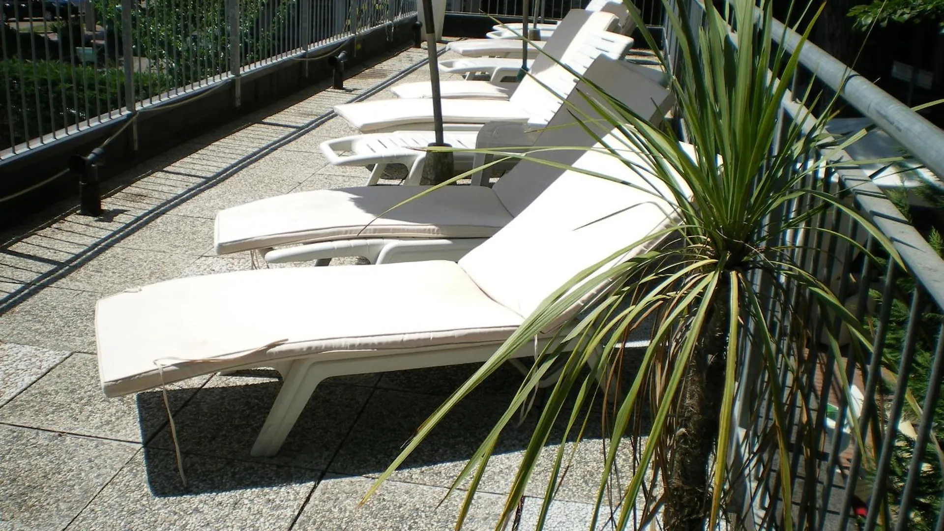 Hotel Logonovo Llido Degli Estensi Italië